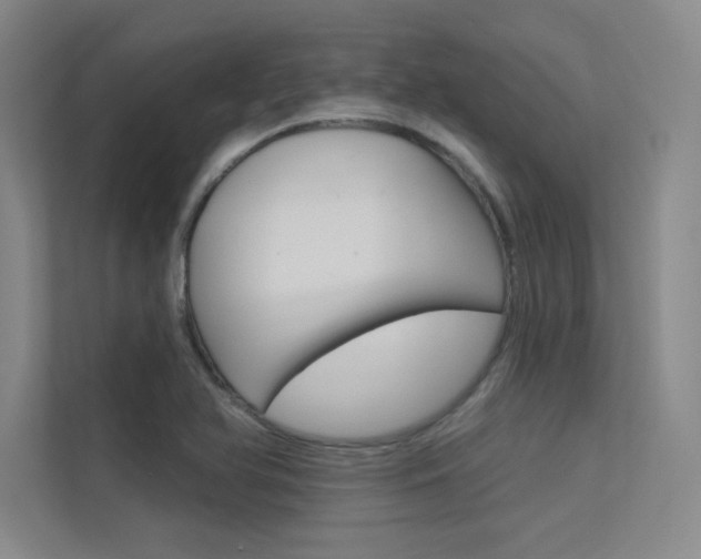 X0000113361366200909150958