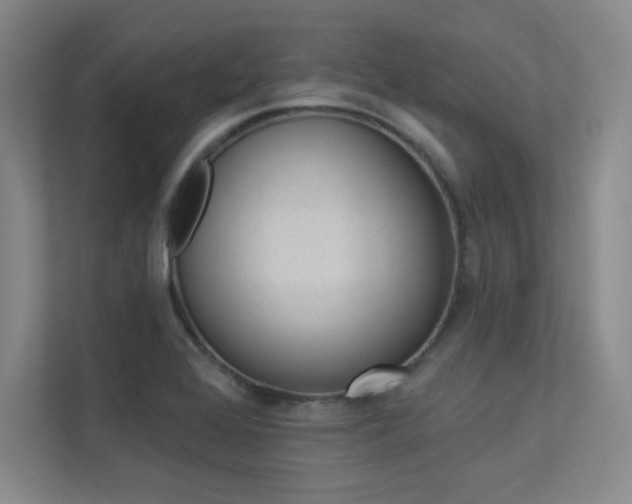 X0000113361368200909150958