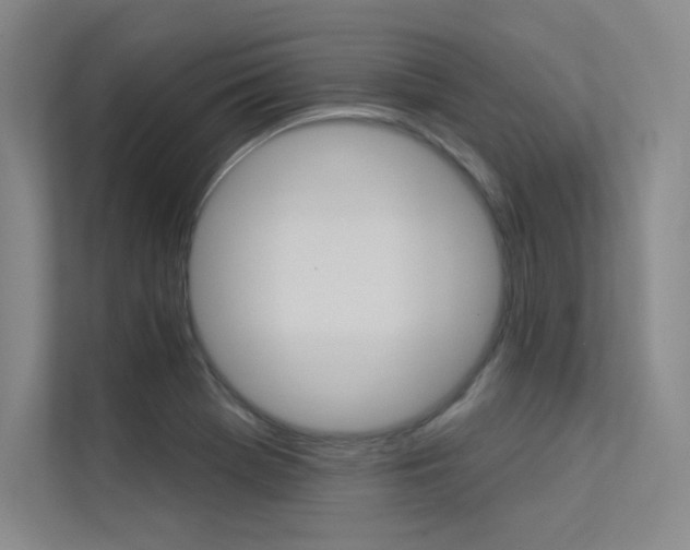 X0000113361369200909150958