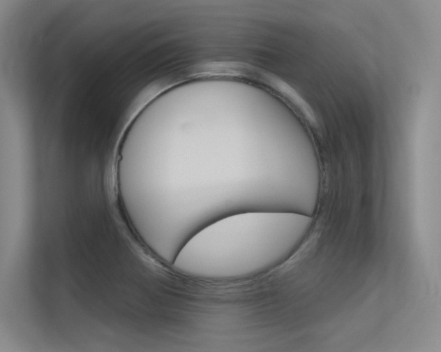 X0000113361370200909150958