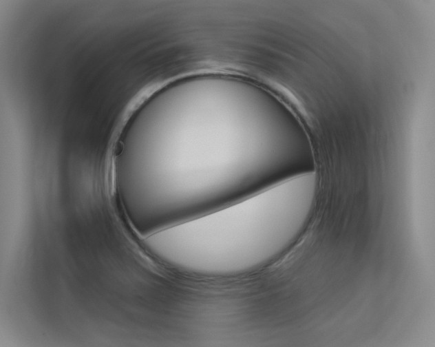 X0000113361371200909150958