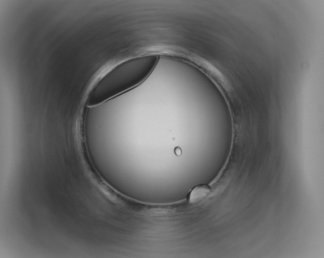 X0000113361373200909150958