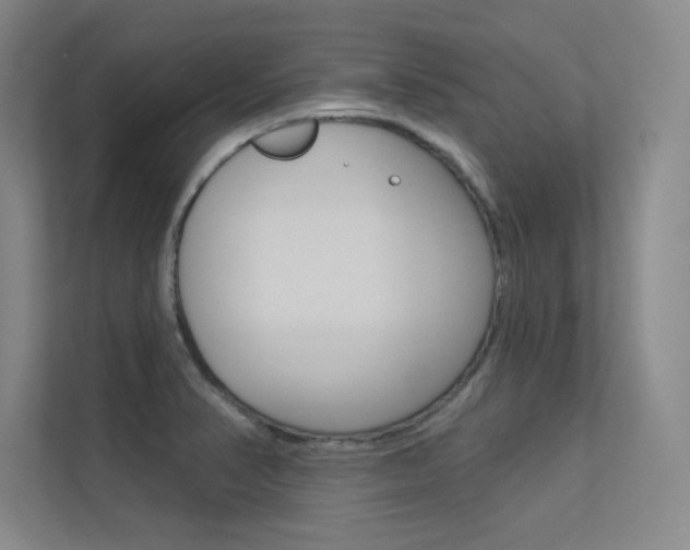 X0000113361374200909150958