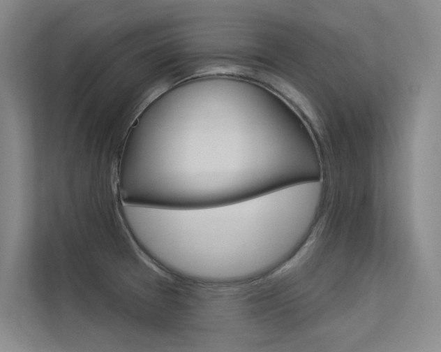 X0000113361377200909150958