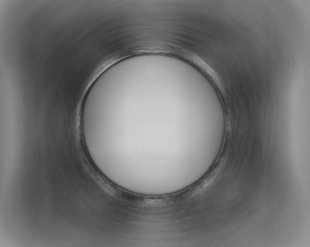 X0000113361378200909150958