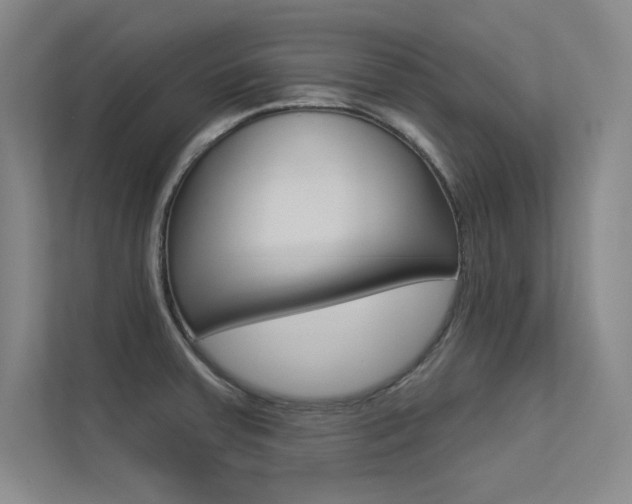 X0000113361379200909150958