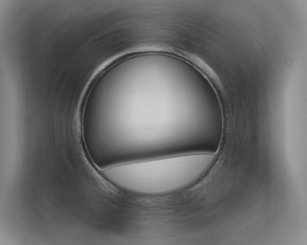 X0000113361380200909150958