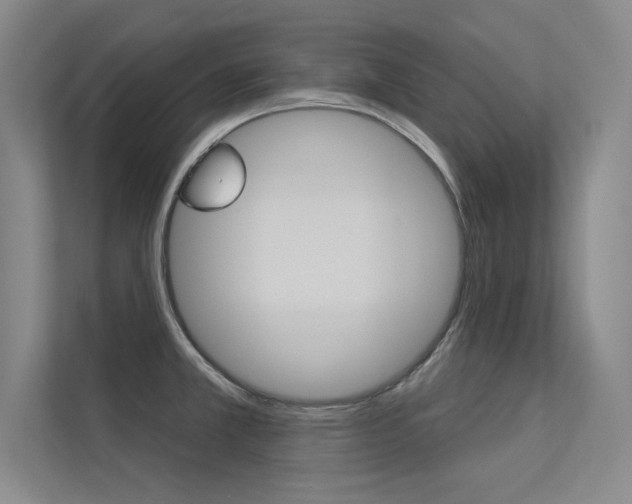 X0000113361381200909150958