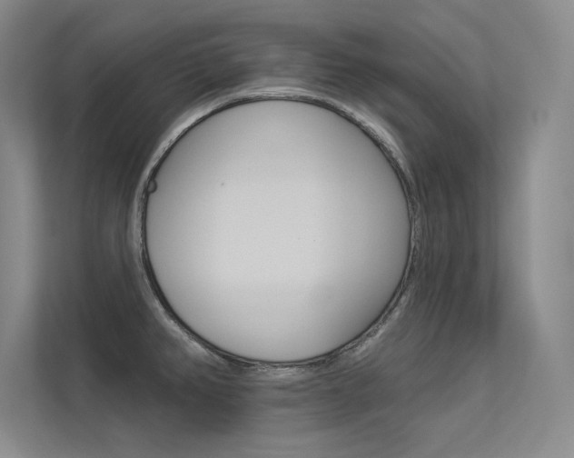 X0000113361382200909150958