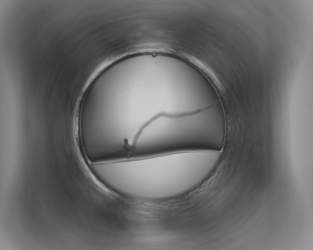 X0000113361383200909150958