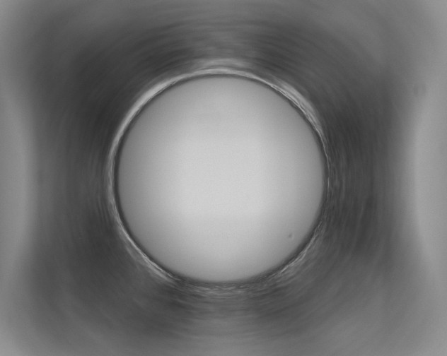 X0000113361384200909150958