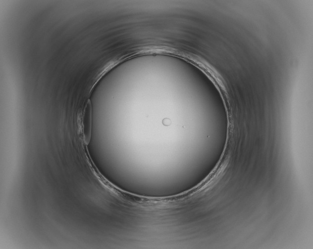 X0000113361385200909150958