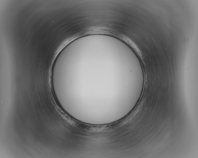 X0000113361386200909150958