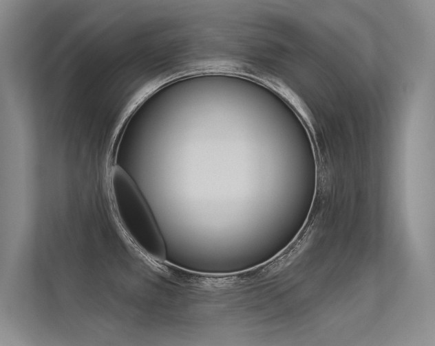 X0000113361389200909150958