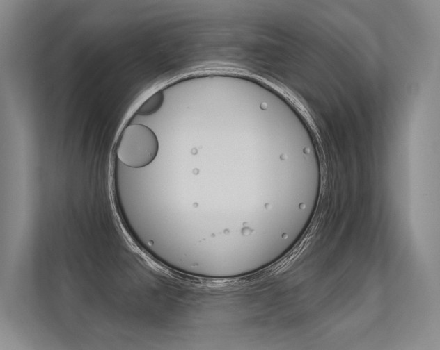 X0000113361390200909150958