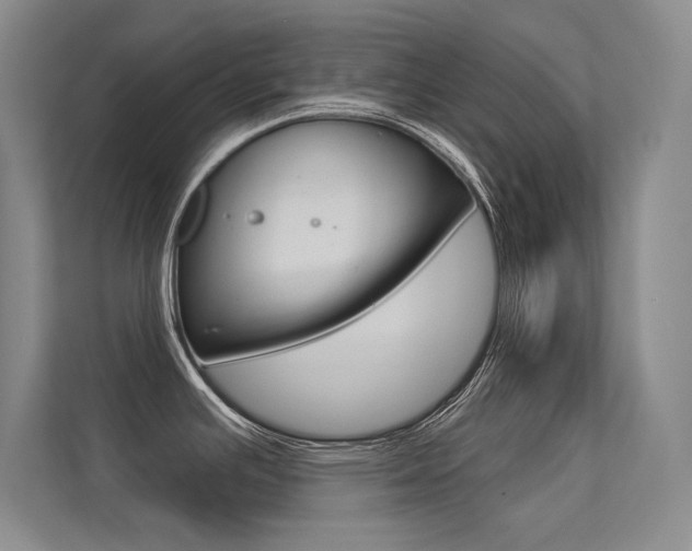 X0000113361391200909150958
