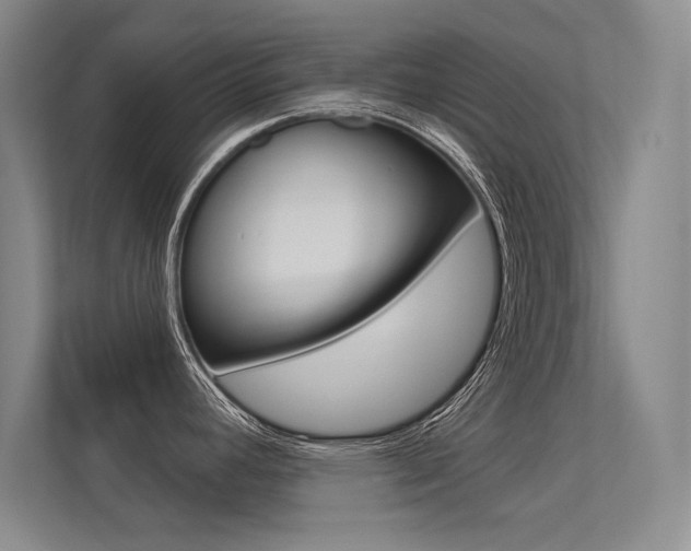 X0000113361392200909150958