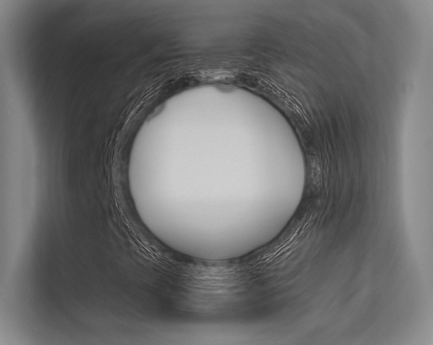 X0000113361393200909150957