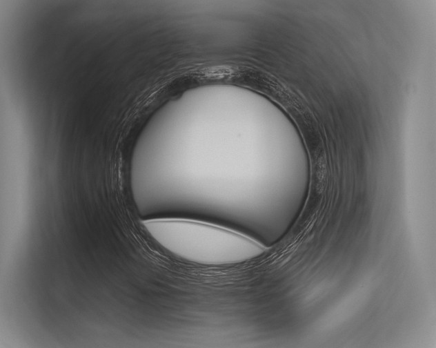 X0000113361394200909150957