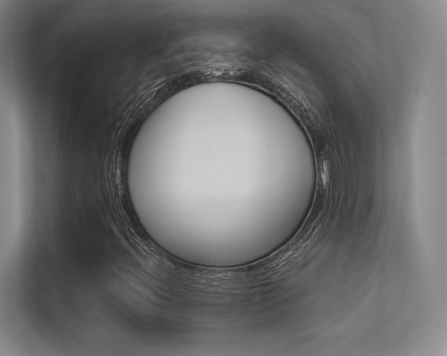 X0000113361396200909150957