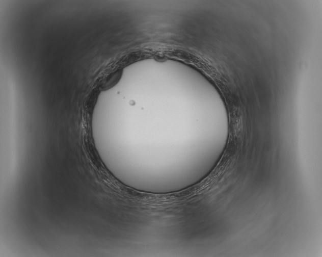 X0000113361397200909150957