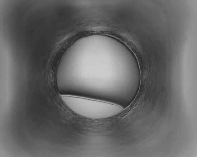 X0000113361398200909150957
