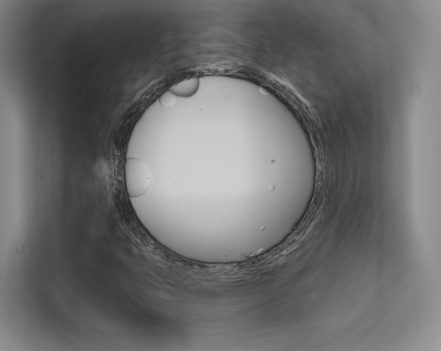X0000113361399200909150957