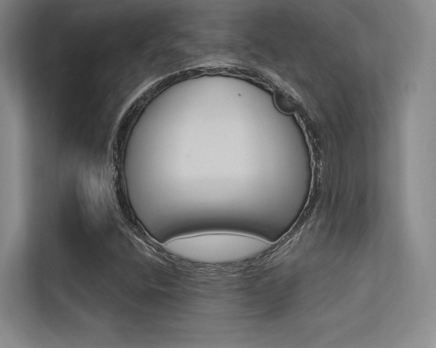 X0000113361400200909150957