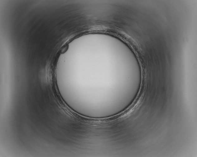 X0000113361401200909150957
