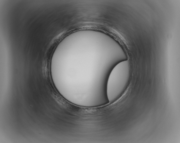 X0000113361403200909150957