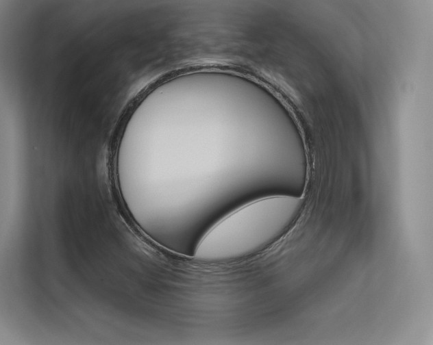 X0000113361404200909150957