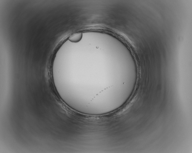 X0000113361405200909150957