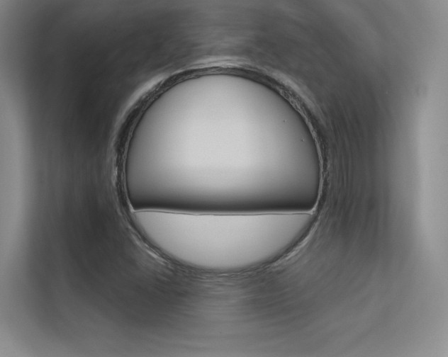 X0000113361406200909150957