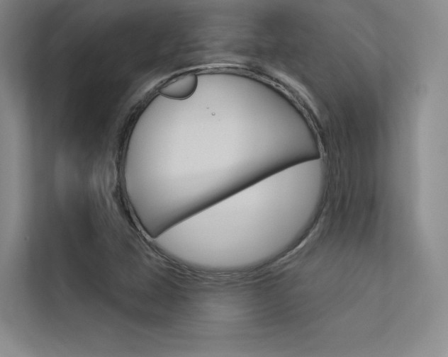 X0000113361407200909150957