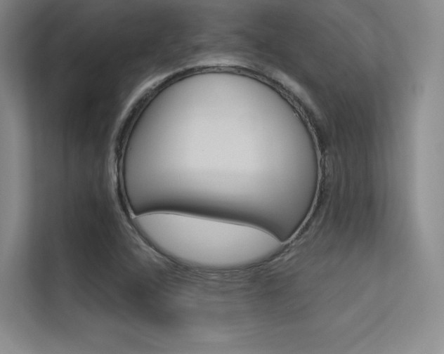 X0000113361408200909150957