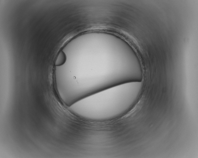 X0000113361409200909150957