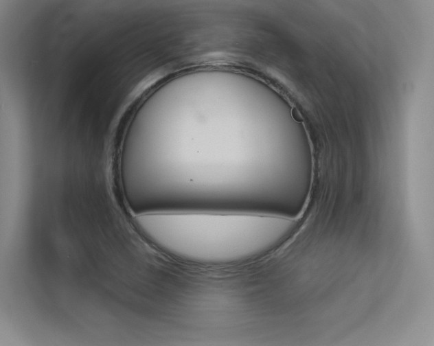 X0000113361410200909150957