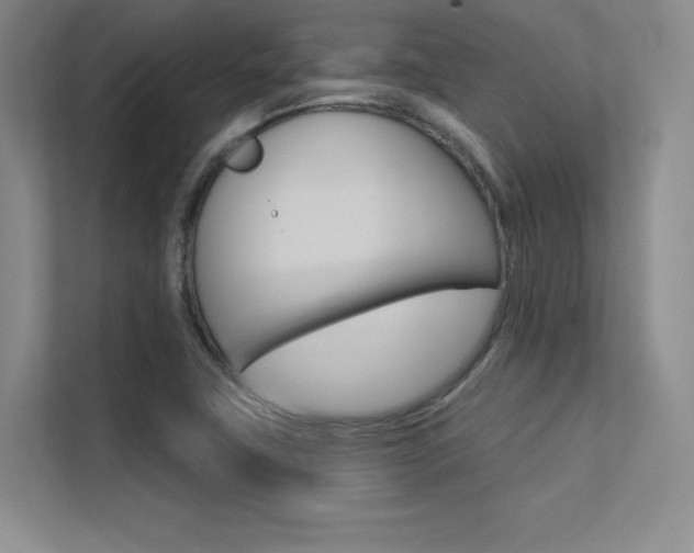 X0000113361411200909150957
