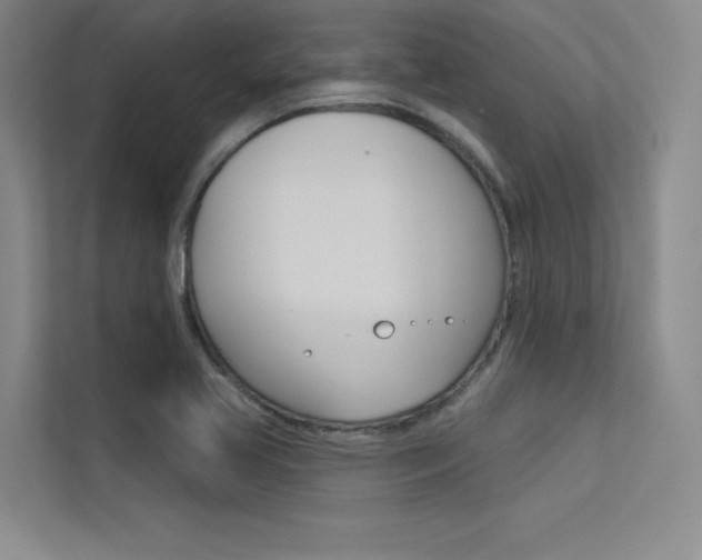 X0000113361413200909150957