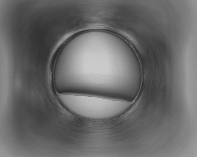 X0000113361414200909150957