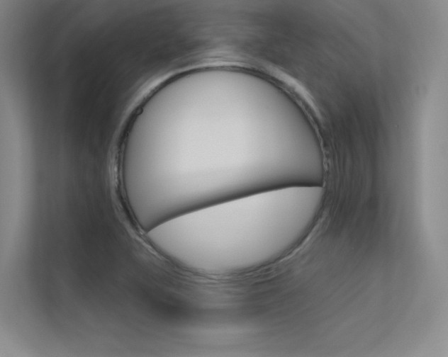 X0000113361415200909150957