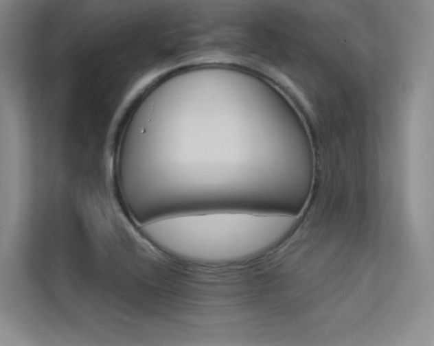 X0000113361416200909150957