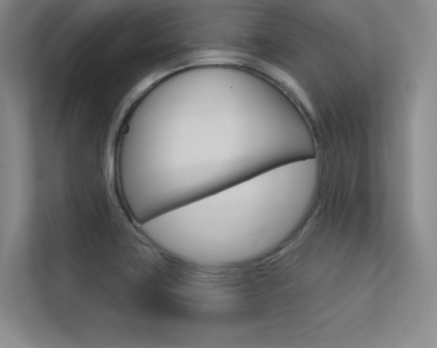 X0000113361419200909150957