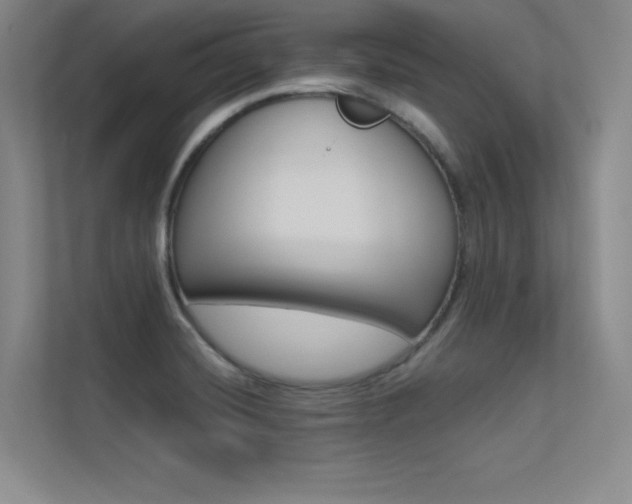 X0000113361420200909150957