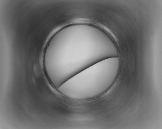 X0000113361421200909150957