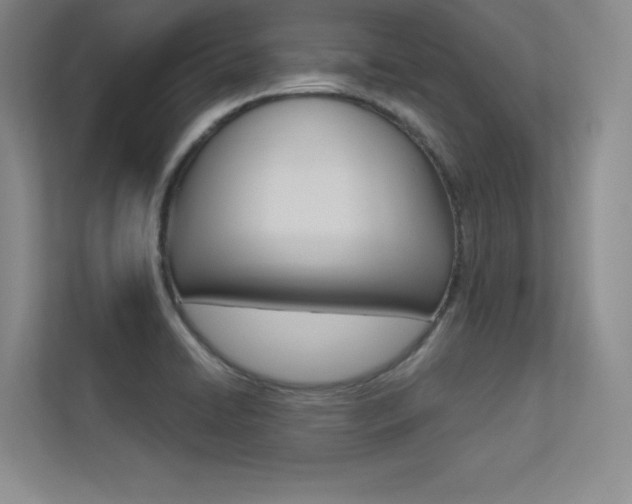 X0000113361422200909150957