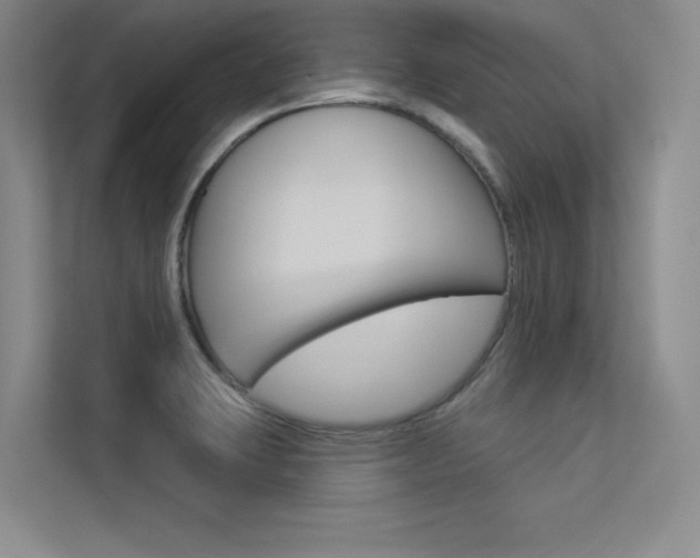 X0000113361423200909150957
