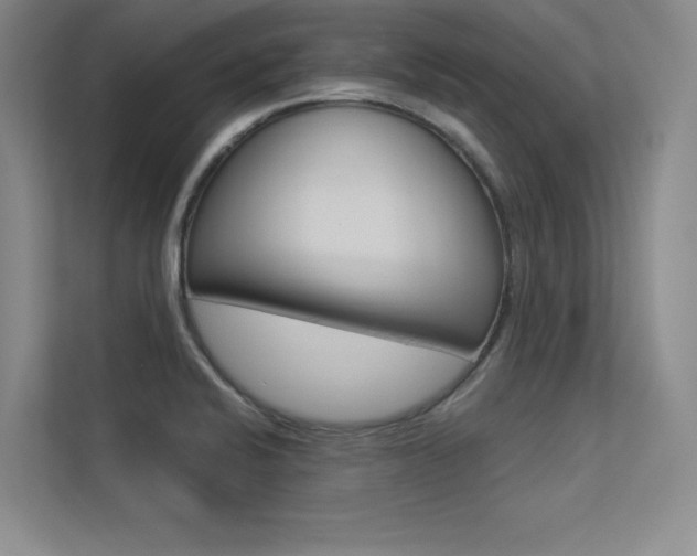 X0000113361424200909150957