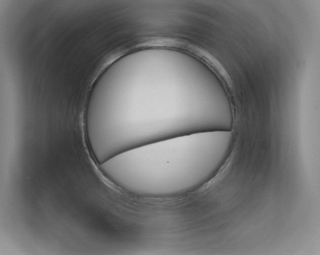 X0000113361425200909150957