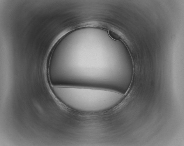 X0000113361426200909150957